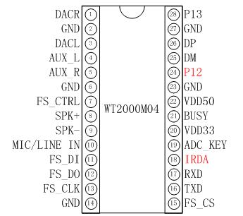 WT2000M04 Time and Date Stamp Recording Module