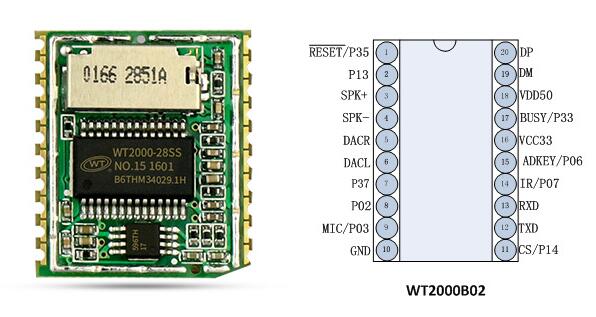 WT2000B02 Voice Record Playback Module